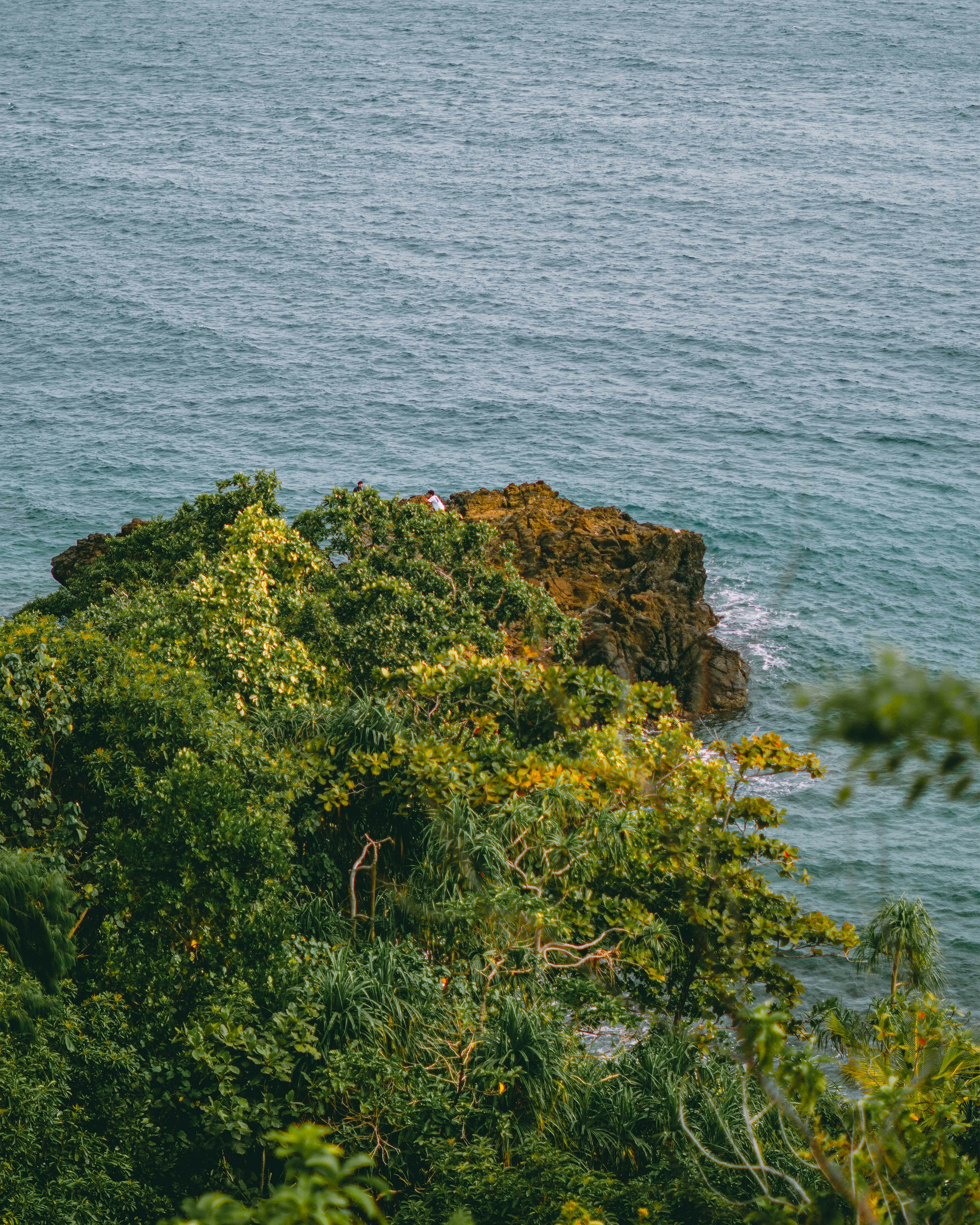 green moss on brown rock formation near body of water during daytime